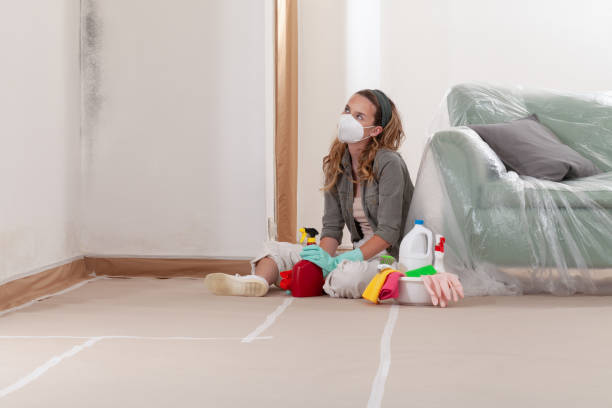 Reliable Commercial Mold Remediation contractor in Colmar, PA by WQB Mold Removal