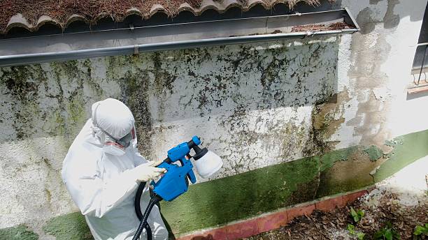 Top rated local Commercial Mold Remediation specialists in Colmar, PA
